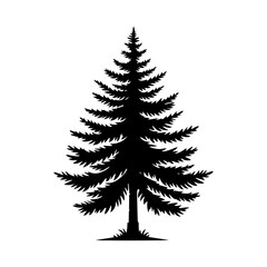 Spruce Tree Vector Silhouette Showcasing the Timeless Beauty- Spruce Tree Illustration- Minimalist Spruce Tree vector.