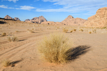 Landscape of Wadi Rum desert in Jordan