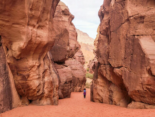 Canyon of Wadi Rum desert in Jordan