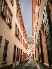 Antique building view in Heidelberg, Germany