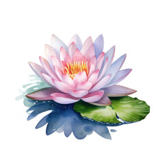 Water lily watercolor clip art illustration. Beautiful pink single flower