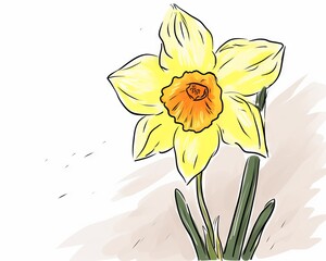 A simple line drawing of a daffodil in bloom.