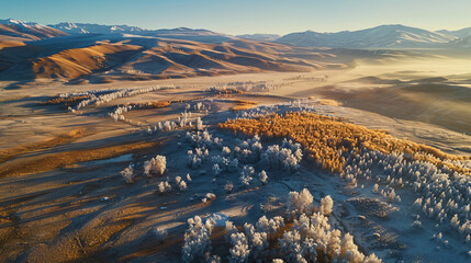 Morning frost in Kurai steppe Altai mountains 