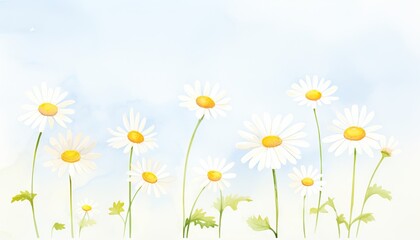 A watercolor painting of white daisies with yellow centers and green stems and leaves against a pale blue background.