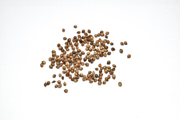 Fototapeta premium Spice Coriander beans for meat dishes.