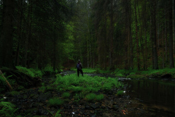 Obraz premium Woman alone in nature, on a forest path, around a stream, walking on the woods