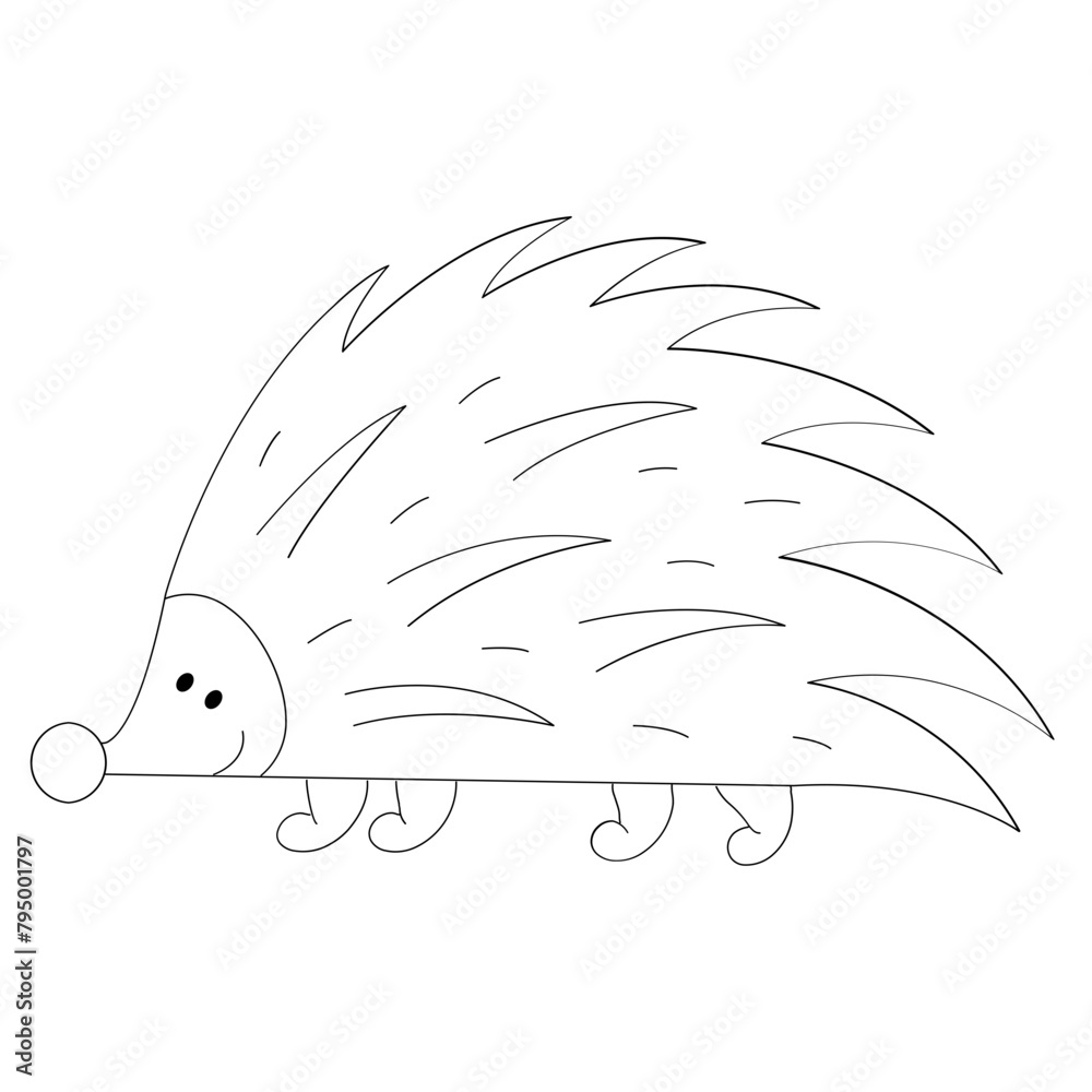 Canvas Prints porcupine hand drawn vector illustration in line stroke design