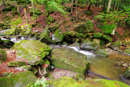 creek among mossy stones in the carpathian primeval beech woods. outdoor nature scenery in summer