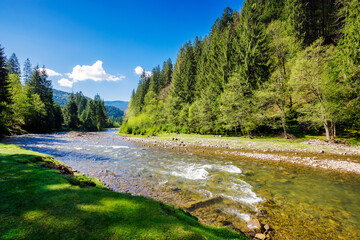 landscape with river among forested hills in spring on an sunny morning. water steam winding among...