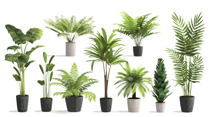 Set of artificial plants on white background.