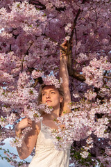 sensual seductive young sexy blonde woman portrait in white dress in tree surrounded by japanese cherry blossoms