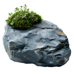 Green moss on a stone PNG. Rock with forest moss isolated. Rock with wild forest grass and nature