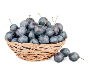 Blackthorn fruits basket isolated on a white background