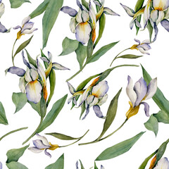 Watercolor illustration seamless pattern on white background flowers irises