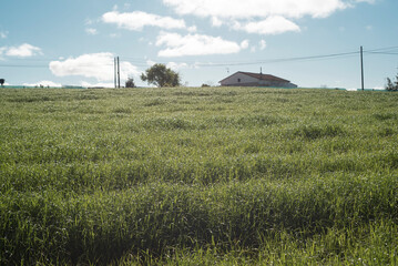 Casa de campo tras una colina de hierba