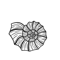 Coquillage en forme d'escargot style noir et blanc