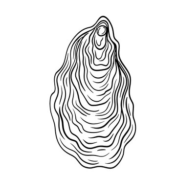 recommend clip art: Huître style noir et blanc
