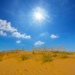summer sandy desert under a sparkle sun