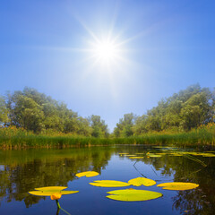 calm summer ruver at sunny day, seasonal outdoor landscape