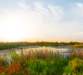 Fototapeta na wymiar small calm lake among prairie at the sunset