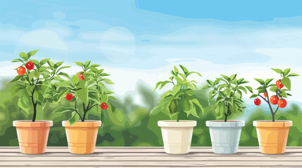 Flowerpots with pepper trees on wooden table outdoors