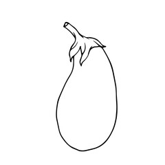 Line sketch, doodle of eggplant vegetable. Vector graphics.