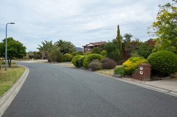 A quiet suburban asphalt road lined with residential houses, a mailbox, and a variety of green ornate plants and trees. A beautiful Australian neighborhood street in a suburb. Copy space