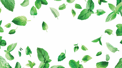 Fresh aromatic mint leaves on white background Vector - obrazy, fototapety, plakaty