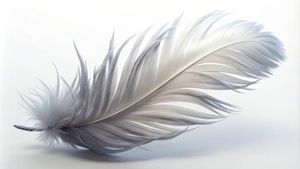 4K Feather White Background