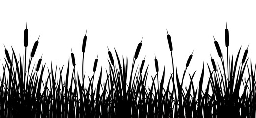 Black silhouette of cattail border in tall grass. Seamless reed border. Swamp grass for design - obrazy, fototapety, plakaty