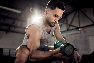 Naklejka premium Fitness, dumbbell or strong man training, exercise or workout for powerful arms or muscles at gym. Concentration curls, strength or serious Arab athlete lifting weights or exercising biceps in Dubai