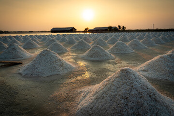 The salt industry is a large and important industry that produces salt, a mineral that is essential...