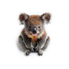 Small Koala Sitting on Top of White Floor. Generative AI