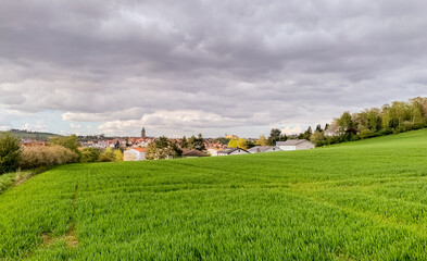 Fototapeta na wymiar A beautiful landscape of green field under a blue cloudy cloudy sky