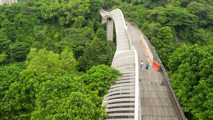 Aerial view of Henderson Waves Bridge in Singapore