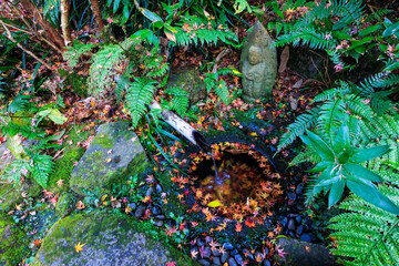 瑞泉寺山門の脇にある美しい蹲と古い石仏像。
紅葉のシーズンには石造りの水盤の周りに紅葉が散り、非常に美しい。

日本国神奈川県鎌倉市にて。
2021年12月19日撮影。

二階堂にある瑞泉寺。
鎌倉時代1327年創建。
鎌倉でも随一の花の寺、紅葉の寺として有名。
境内は日本国の史跡に指定され、庭園は日本国の名勝となっている。日本国の重要文化財の坐像なども多くある。

A beautiful sto