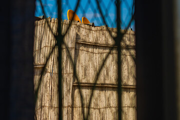 View from the window of a dark room with iron bars. Wooden knitted with sticks decorative railing in balcony in warm sunny weather against clear blue sky background