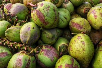coconut fruit on the market