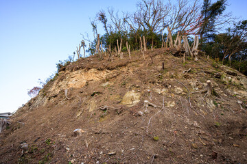 日本国神奈川県鎌倉市にて。 2021年12月19日撮影。  二階堂にある永福寺跡。 鎌倉時代1194年創建。 当時は関東最大級の伽藍建築であった。 1405年に焼失。長く荒れ地のままであったが、1996年に発掘調査が終了。 現在では苑池や解説看板やCGによるAR表示で往時の様子を学ぶことができる。  In Kamakura City, Kanagawa Prefecture, Japan. Pho © d3_plus