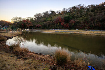 日本国神奈川県鎌倉市にて。
2021年12月19日撮影。

二階堂にある永福寺跡。
鎌倉時代1194年創建。
当時は関東最大級の伽藍建築であった。
1405年に焼失。長く荒れ地のままであったが、1996年に発掘調査が終了。
現在では苑池や解説看板やCGによるAR表示で往時の様子を学ぶことができる。

In Kamakura City, Kanagawa Prefecture, Japan.
Pho