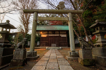 
鶴岡八幡宮近く源頼朝の墓の入口にある白旗神社の鳥居。
Torii Gate of the...