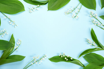 Small white lilies of the valley with large green leaves on a pastel blue background. Concept for...