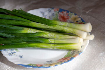 Green onions on a plate.
