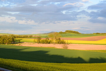evening light on rural landscape in spring