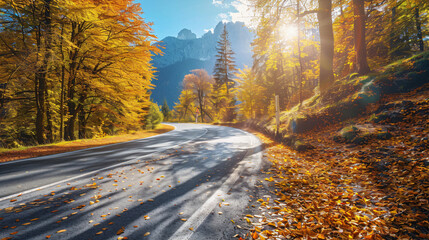 Road in the yellow autumn forest at sunny day. Alps mo