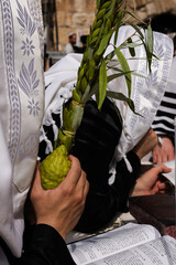 Closeup of an Orthodox, Jewish man holding a lulav and etrog or citron during prayer services on...