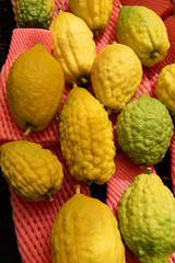 Obraz premium Etrogs or citron fruits, being sold in Jerusalem prior to the observance of the Jewish holiday of Sukkot.
