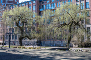 City park Strömparken during early spring in Norrköping, Sweden. Norrköping is a historic industrial town. - 795095729