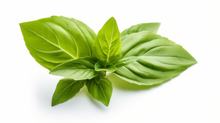 Basil leaf transparent background, no shadow сreated with Generative Ai