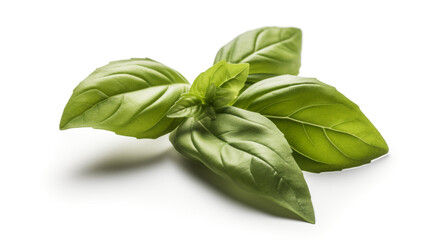 Basil leaf transparent background, no shadow сreated with Generative Ai